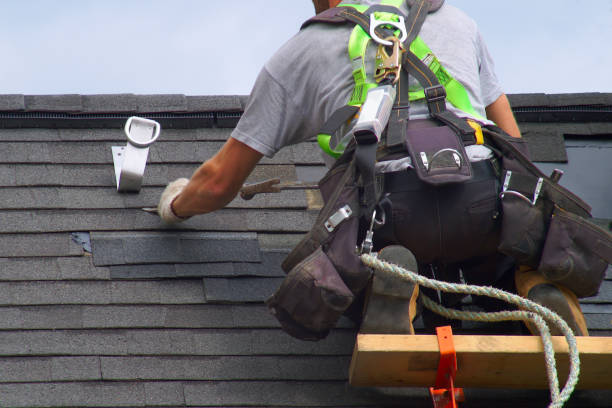 Best Roof Gutter Cleaning  in Wright Patterson Af, OH